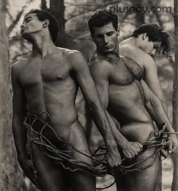 Tres hombres desnudos con lianas)