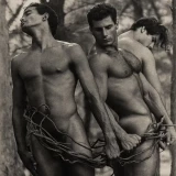 Tres-hombres-desnudos-con-lianas9e3bba3d1ccc5a9d